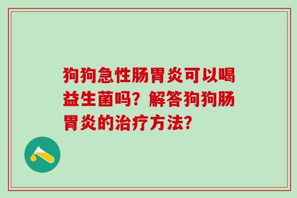 狗狗急性肠胃炎可以喝益生菌吗？解答狗狗肠胃炎的治疗方法？