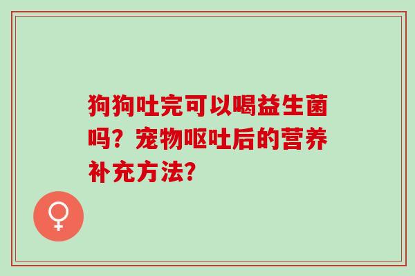狗狗吐完可以喝益生菌吗？宠物呕吐后的营养补充方法？