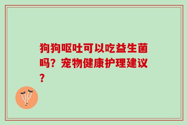 狗狗呕吐可以吃益生菌吗？宠物健康护理建议？