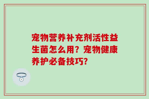 宠物营养补充剂活性益生菌怎么用？宠物健康养护必备技巧？