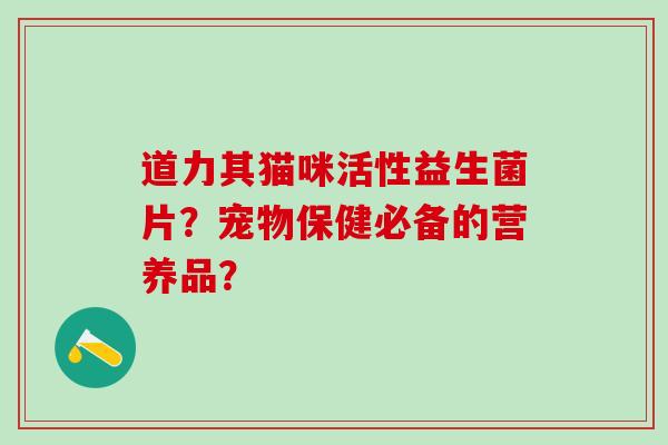 道力其猫咪活性益生菌片？宠物保健必备的营养品？
