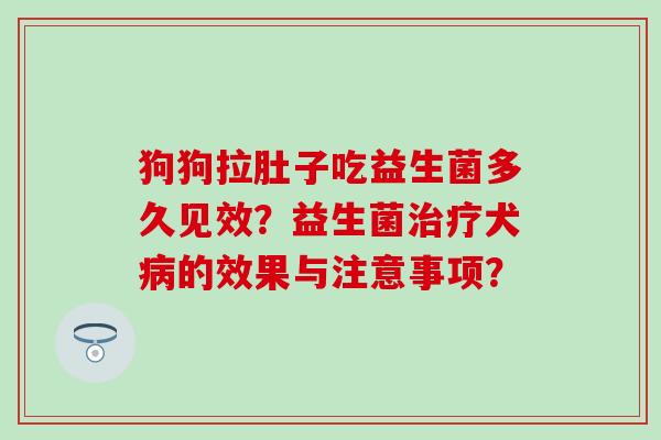 狗狗拉肚子吃益生菌多久见效？益生菌治疗犬病的效果与注意事项？