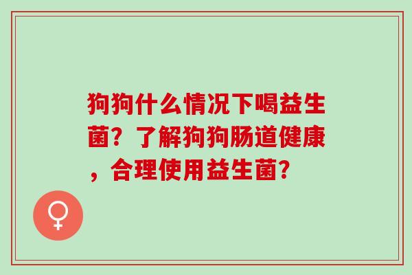 狗狗什么情况下喝益生菌？了解狗狗肠道健康，合理使用益生菌？