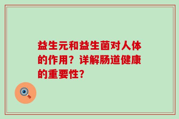 益生元和益生菌对人体的作用？详解肠道健康的重要性？