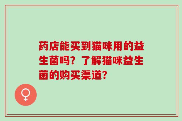 药店能买到猫咪用的益生菌吗？了解猫咪益生菌的购买渠道？
