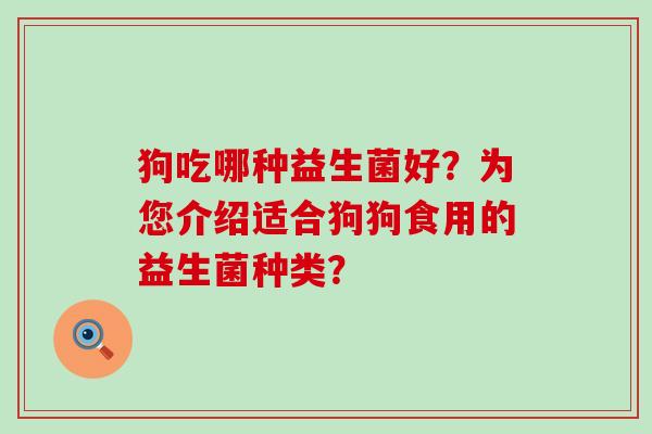 狗吃哪种益生菌好？为您介绍适合狗狗食用的益生菌种类？