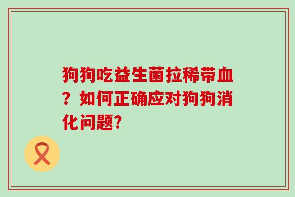 狗狗吃益生菌拉稀带血？如何正确应对狗狗消化问题？