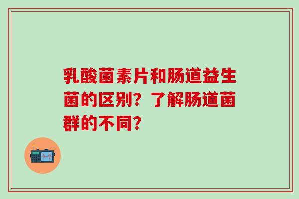 乳酸菌素片和肠道益生菌的区别？了解肠道菌群的不同？