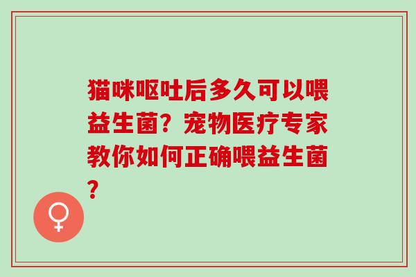 猫咪呕吐后多久可以喂益生菌？宠物医疗专家教你如何正确喂益生菌？