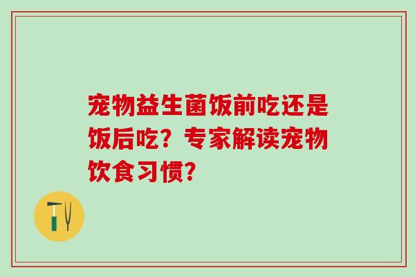 宠物益生菌饭前吃还是饭后吃？专家解读宠物饮食习惯？