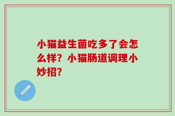 小猫益生菌吃多了会怎么样？小猫肠道调理小妙招？