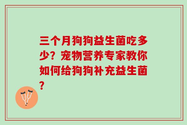 三个月狗狗益生菌吃多少？宠物营养专家教你如何给狗狗补充益生菌？