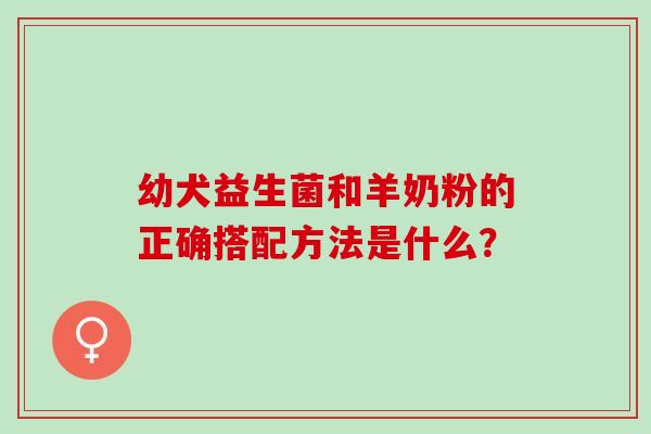 幼犬益生菌和羊奶粉的正确搭配方法是什么？