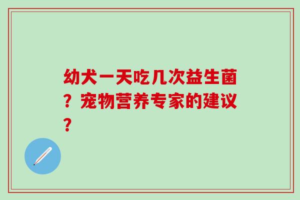 幼犬一天吃几次益生菌？宠物营养专家的建议？