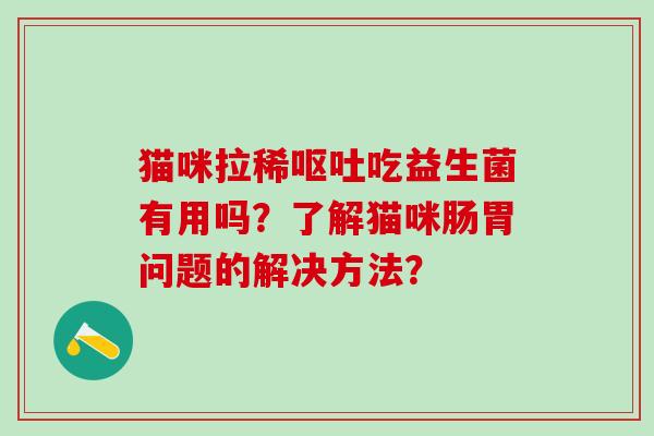 猫咪拉稀呕吐吃益生菌有用吗？了解猫咪肠胃问题的解决方法？