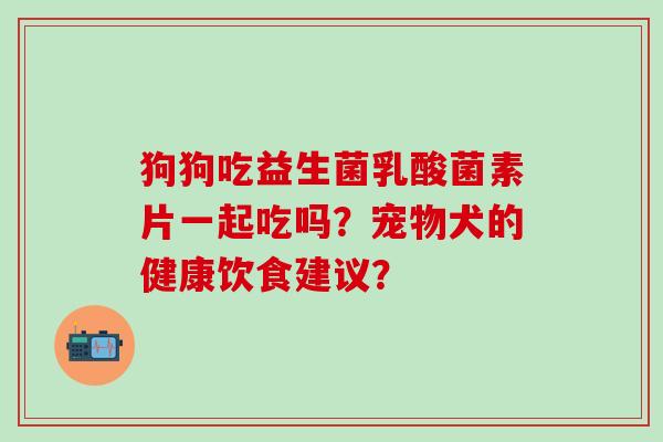 狗狗吃益生菌乳酸菌素片一起吃吗？宠物犬的健康饮食建议？