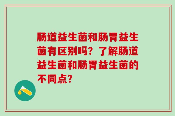 肠道益生菌和肠胃益生菌有区别吗？了解肠道益生菌和肠胃益生菌的不同点？
