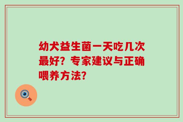 幼犬益生菌一天吃几次最好？专家建议与正确喂养方法？