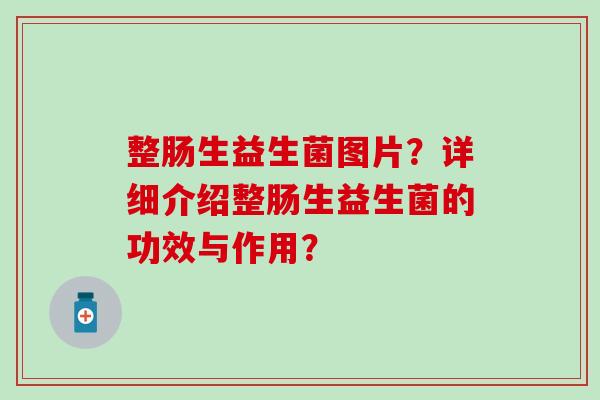 整肠生益生菌图片？详细介绍整肠生益生菌的功效与作用？