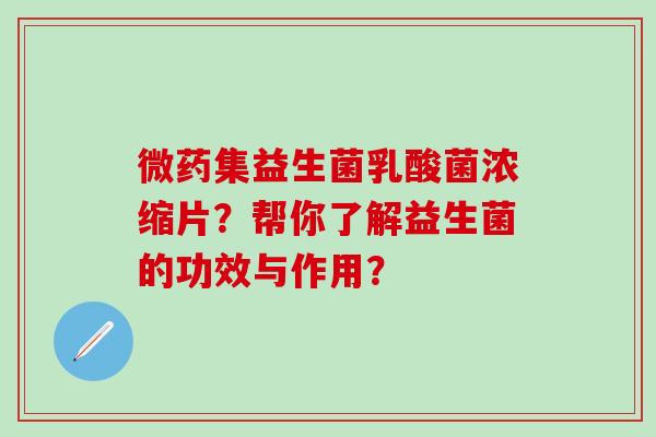 微药集益生菌乳酸菌浓缩片？帮你了解益生菌的功效与作用？