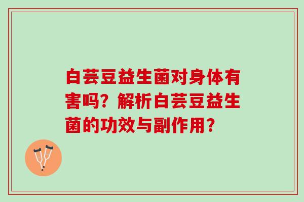 白芸豆益生菌对身体有害吗？解析白芸豆益生菌的功效与副作用？