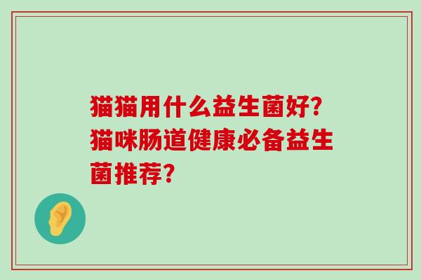 猫猫用什么益生菌好？猫咪肠道健康必备益生菌推荐？