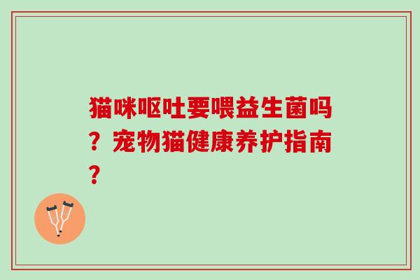 猫咪呕吐要喂益生菌吗？宠物猫健康养护指南？