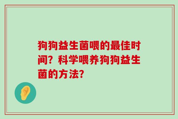狗狗益生菌喂的最佳时间？科学喂养狗狗益生菌的方法？