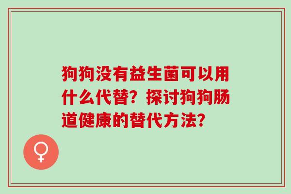 狗狗没有益生菌可以用什么代替？探讨狗狗肠道健康的替代方法？