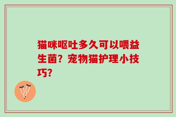 猫咪呕吐多久可以喂益生菌？宠物猫护理小技巧？