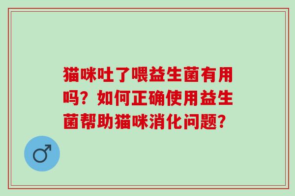 猫咪吐了喂益生菌有用吗？如何正确使用益生菌帮助猫咪消化问题？