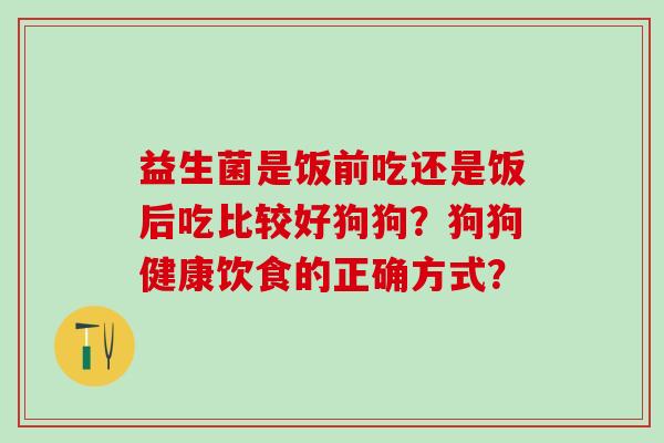 益生菌是饭前吃还是饭后吃比较好狗狗？狗狗健康饮食的正确方式？