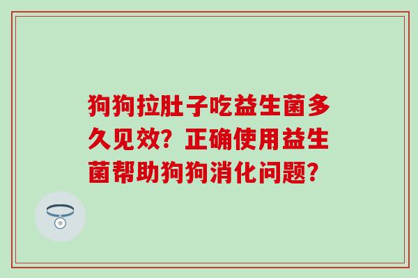 狗狗拉肚子吃益生菌多久见效？正确使用益生菌帮助狗狗消化问题？