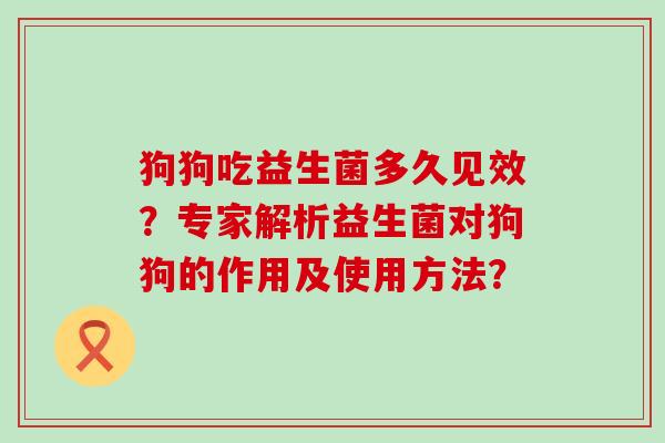 狗狗吃益生菌多久见效？专家解析益生菌对狗狗的作用及使用方法？