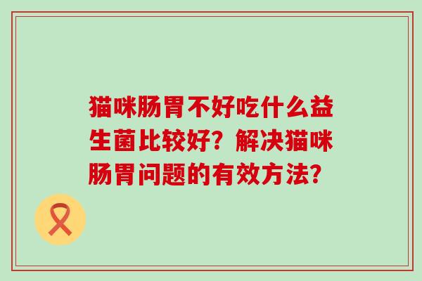 猫咪肠胃不好吃什么益生菌比较好？解决猫咪肠胃问题的有效方法？