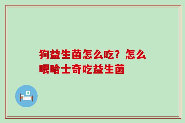 狗益生菌怎么吃？怎么喂哈士奇吃益生菌