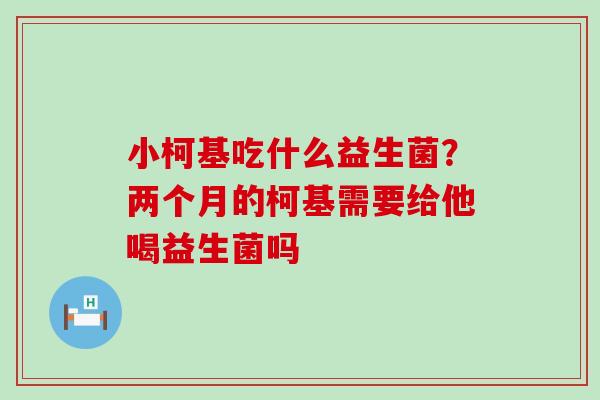 小柯基吃什么益生菌？两个月的柯基需要给他喝益生菌吗