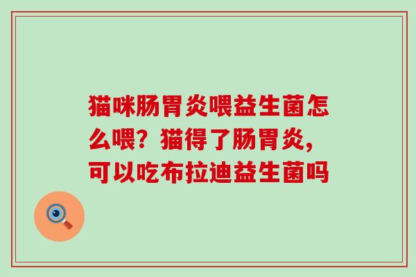 猫咪肠胃炎喂益生菌怎么喂？猫得了肠胃炎,可以吃布拉迪益生菌吗