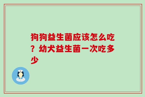狗狗益生菌应该怎么吃？幼犬益生菌一次吃多少