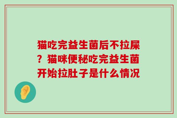猫吃完益生菌后不拉屎？猫咪便秘吃完益生菌开始拉肚子是什么情况