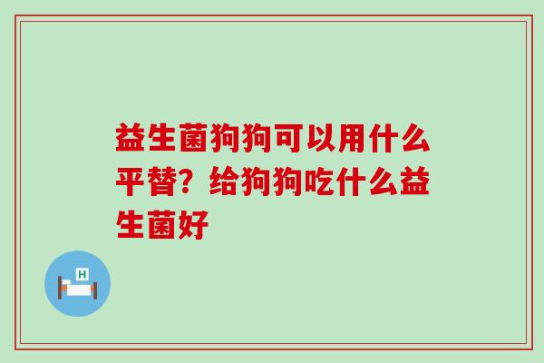 益生菌狗狗可以用什么平替？给狗狗吃什么益生菌好