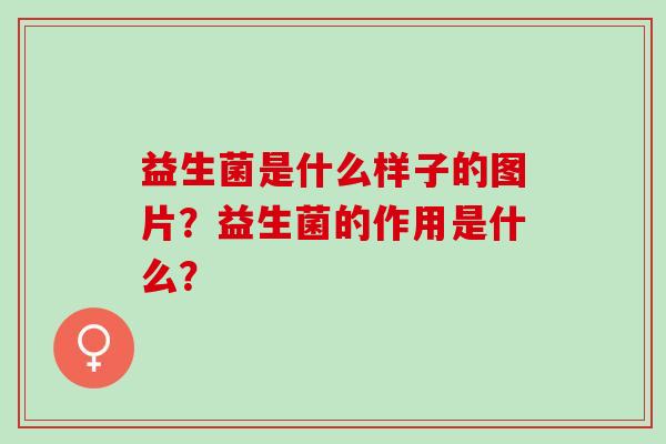 益生菌是什么样子的图片？益生菌的作用是什么？