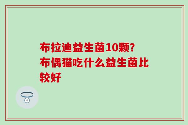 布拉迪益生菌10颗？布偶猫吃什么益生菌比较好