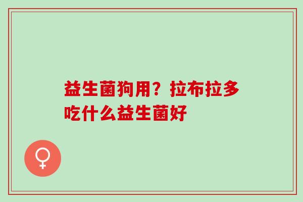 益生菌狗用？拉布拉多吃什么益生菌好