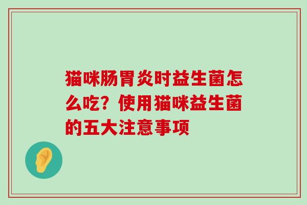 猫咪肠胃炎时益生菌怎么吃？使用猫咪益生菌的五大注意事项