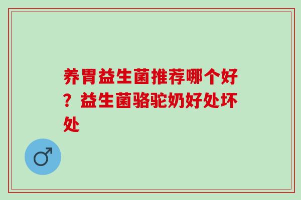 养胃益生菌推荐哪个好？益生菌骆驼奶好处坏处