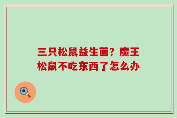 三只松鼠益生菌？魔王松鼠不吃东西了怎么办