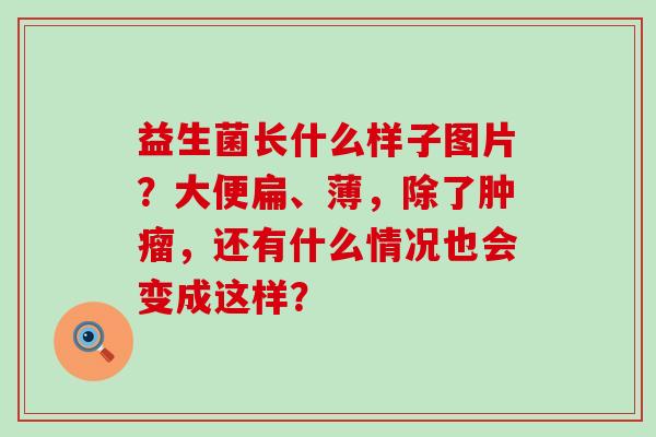 益生菌长什么样子图片？大便扁、薄，除了肿瘤，还有什么情况也会变成这样？