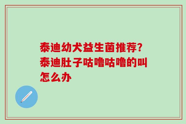 泰迪幼犬益生菌推荐？泰迪肚子咕噜咕噜的叫怎么办