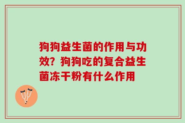 狗狗益生菌的作用与功效？狗狗吃的复合益生菌冻干粉有什么作用